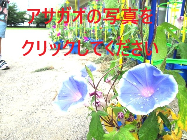 edited-image.png