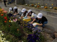 ３年生：花の観察（理科）
