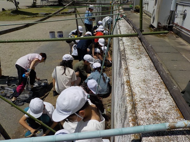 今まで使っていた棚。だいぶ傷んでいます。