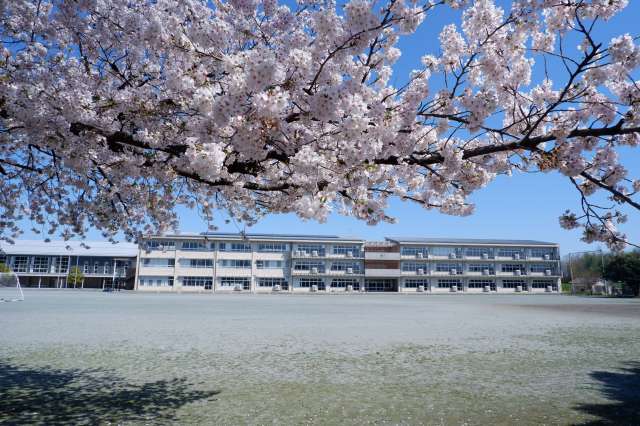 桜と校舎Ｒ６．４