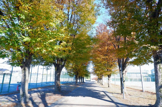 DSCF6633.JPG